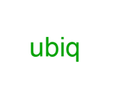 Ubiq