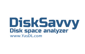 DiskSavvy